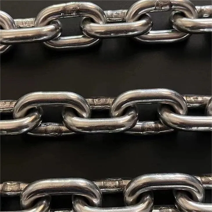 Cadena de acero inoxidable en línea de transporte colgada para sacrificio de aves de corral